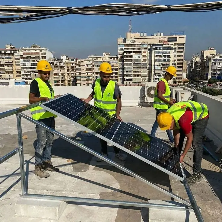 Rajlaxmi Electricals solar project 10